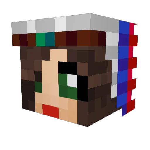 pea_bee Minecraft avatar head, 3D render