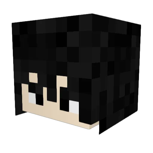 peaboi981 Minecraft avatar head, 3D render