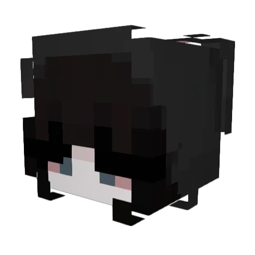 peaceandloveepic Minecraft avatar head, 3D render
