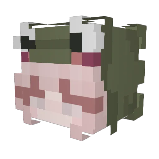 peacechen Minecraft avatar head, 3D render