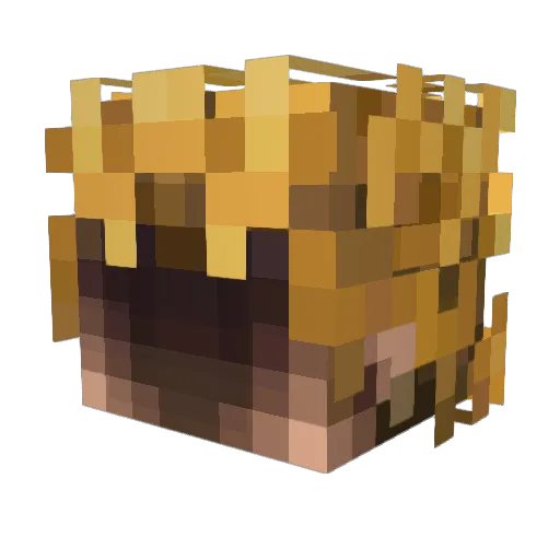 peacedrifter_006 Minecraft avatar head, 3D render