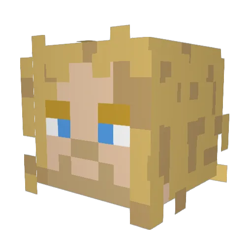 peacefrog_9 Minecraft avatar head, 3D render