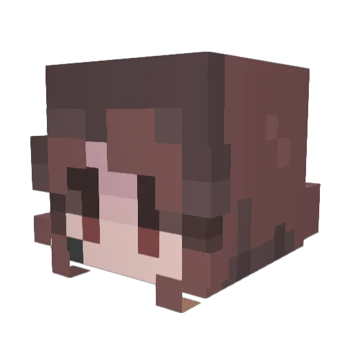peacefulcomb9 Minecraft avatar head, 3D render