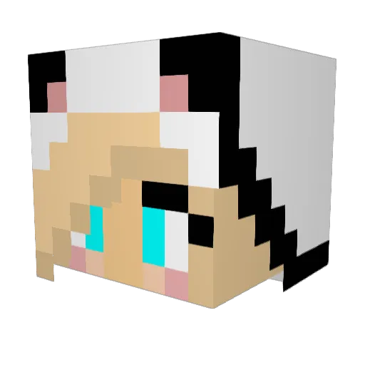 peacefulpanda17 Minecraft avatar head, 3D render