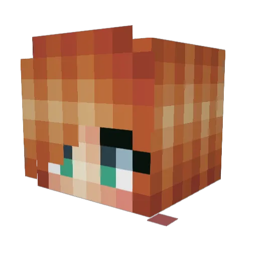 peaceloveswim101 Minecraft avatar head, 3D render
