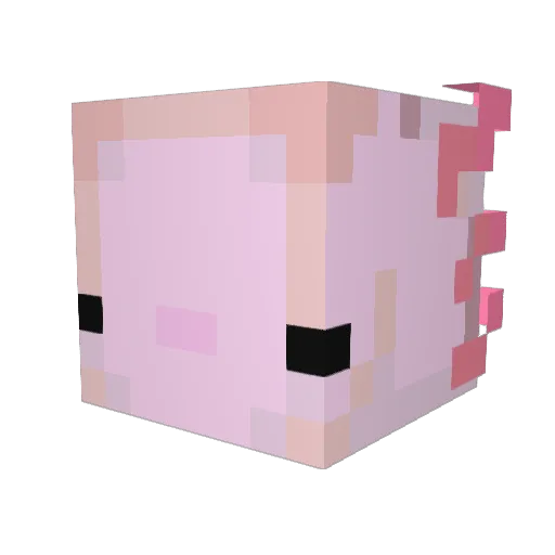 peachblvesky Minecraft avatar head, 3D render