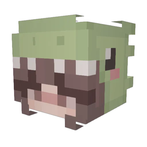 peachhh111 Minecraft avatar head, 3D render