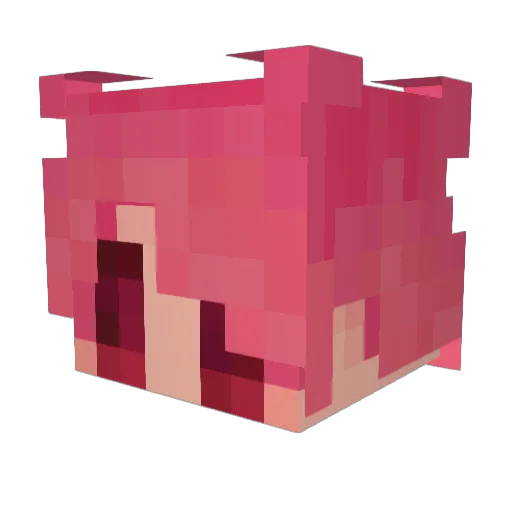 peachpitplanet Minecraft avatar head, 3D render
