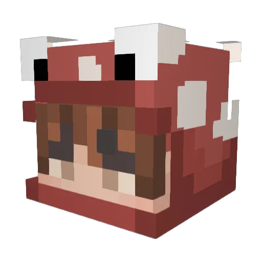 peachyrivers Minecraft avatar head, 3D render