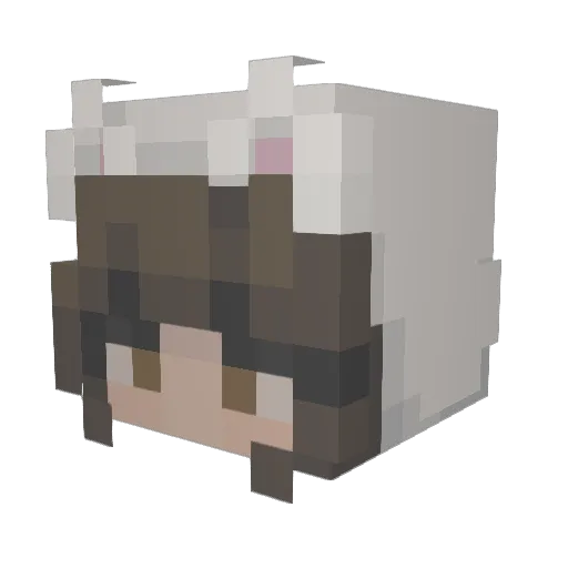 peachysophiaa Minecraft avatar head, 3D render