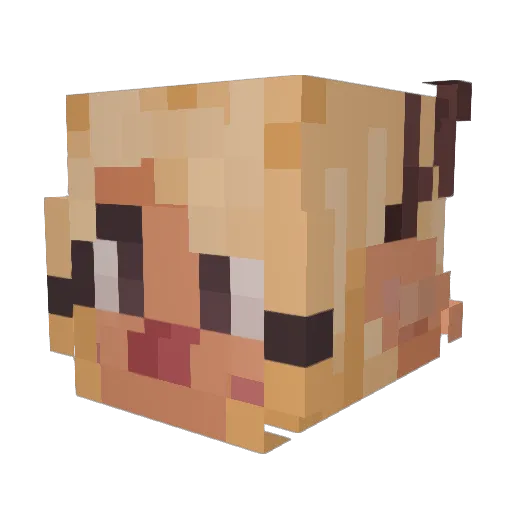 peakayune Minecraft avatar head, 3D render