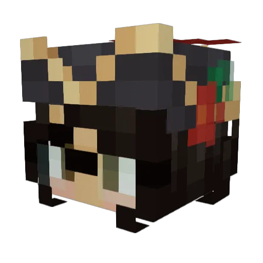 peanutbutterjami Minecraft avatar head, 3D render