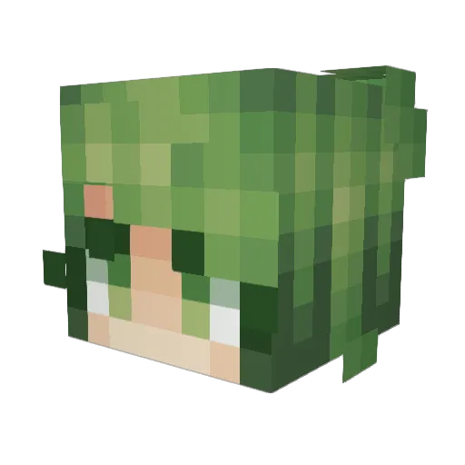 peanutluvr Minecraft avatar head, 3D render