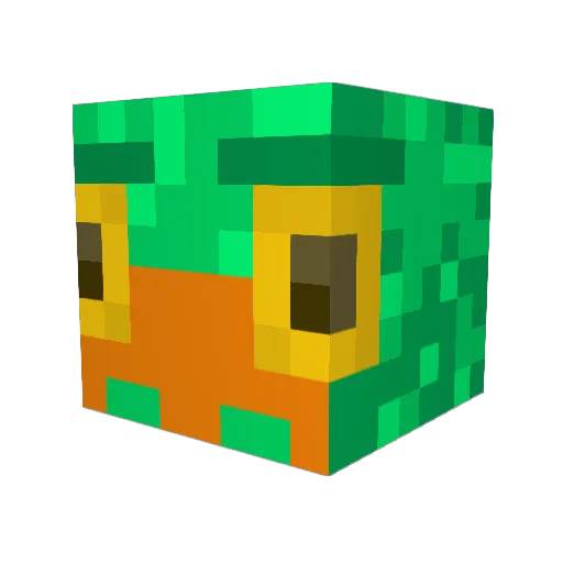 peanutseagull Minecraft avatar head, 3D render