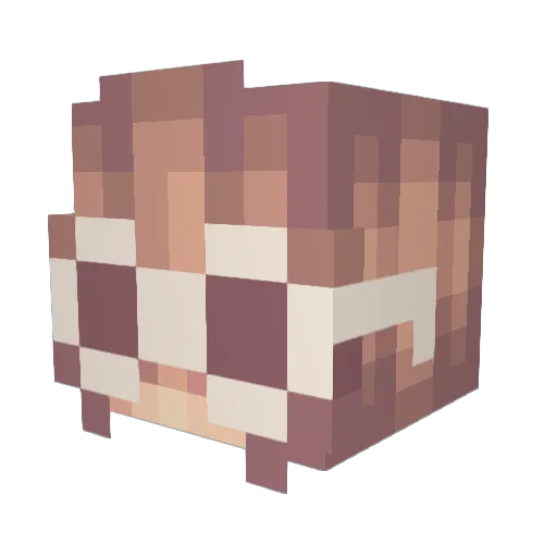 peasnackss Minecraft avatar head, 3D render