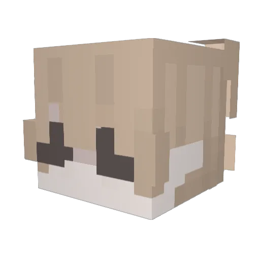 peavystey Minecraft avatar head, 3D render