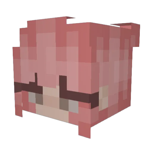 pebbleonvenus Minecraft avatar head, 3D render