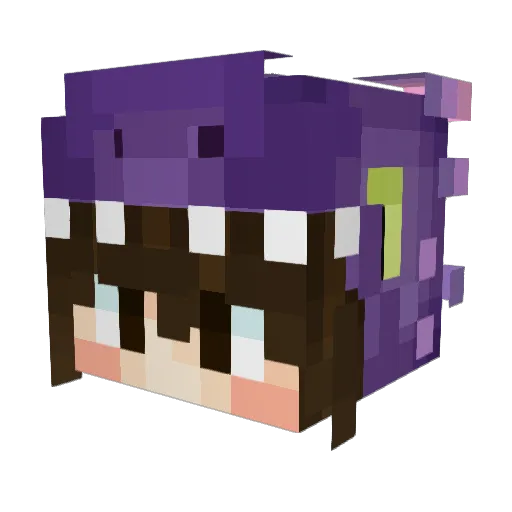 pebbleslover Minecraft avatar head, 3D render