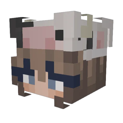 pebbllz Minecraft avatar head, 3D render