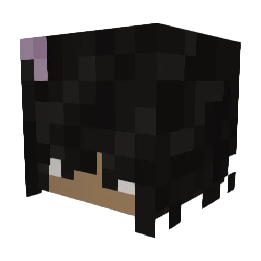 pecfunky Minecraft avatar head, 3D render