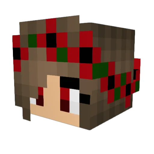 pechepeco Minecraft avatar head, 3D render