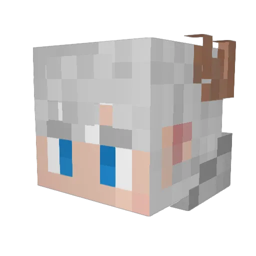 pecora009 Minecraft avatar head, 3D render