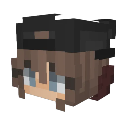 peculiartulip Minecraft avatar head, 3D render