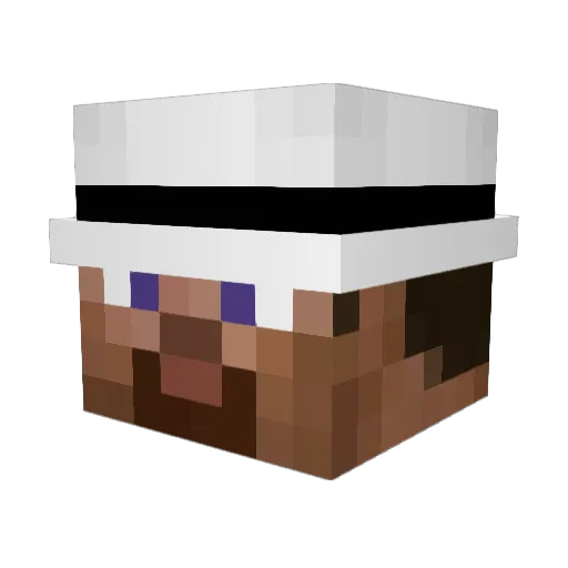pedoka_ Minecraft avatar head, 3D render