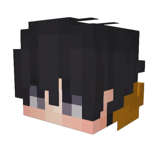 pedrao32100 Minecraft avatar head, 3D render