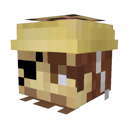 pedrao Minecraft avatar head, 3D render