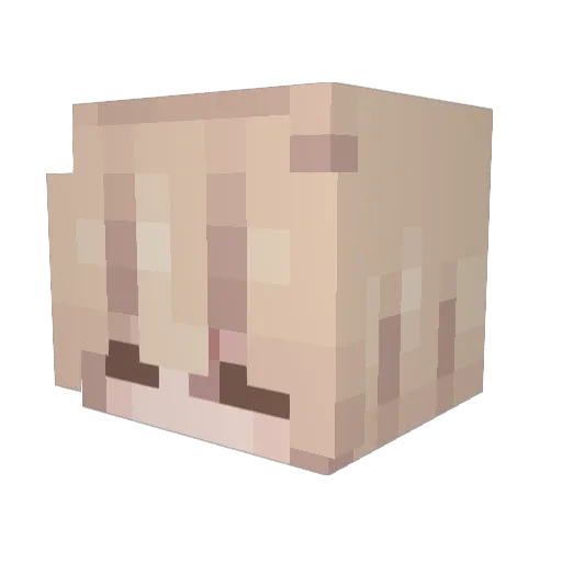 pedringameplays8 Minecraft avatar head, 3D render