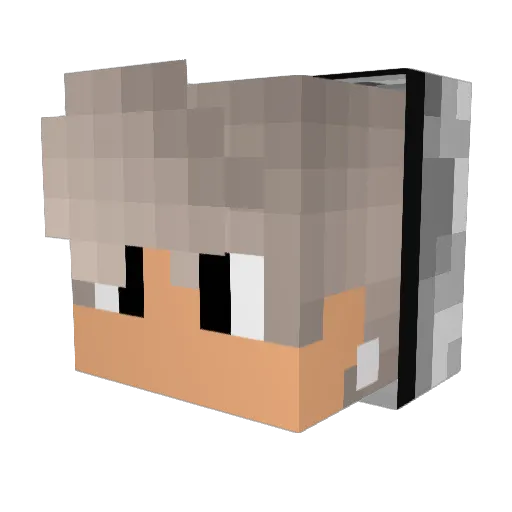 pedrinho_03 Minecraft avatar head, 3D render