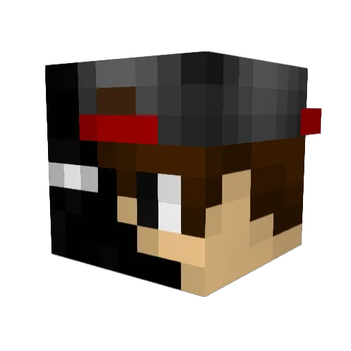 pedrinhogamer999 Minecraft avatar head, 3D render