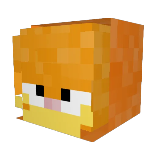 pedrinhoneto Minecraft avatar head, 3D render