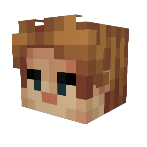 pedrinmk Minecraft avatar head, 3D render