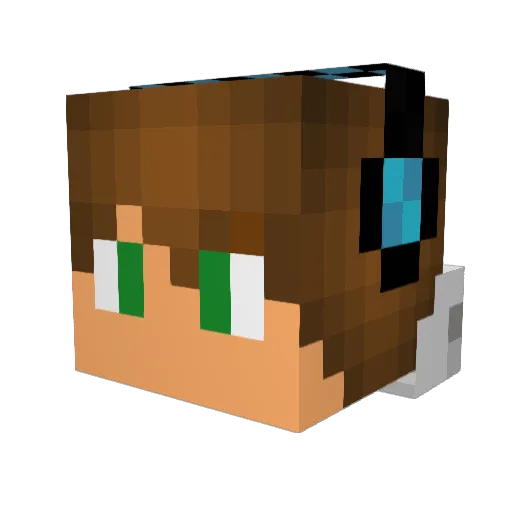 pedro22110 Minecraft avatar head, 3D render