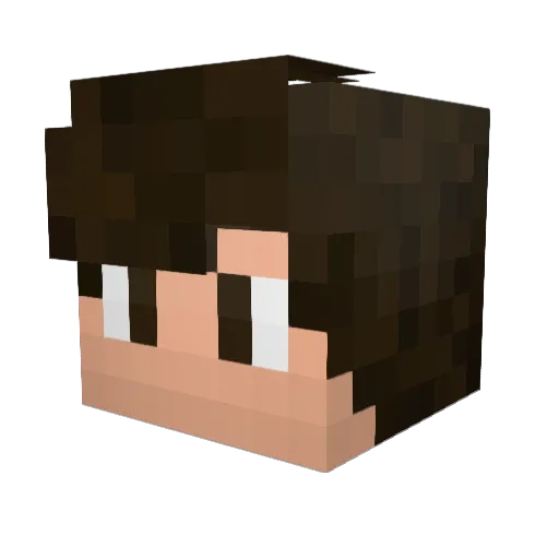 pedro_HNC Minecraft avatar head, 3D render