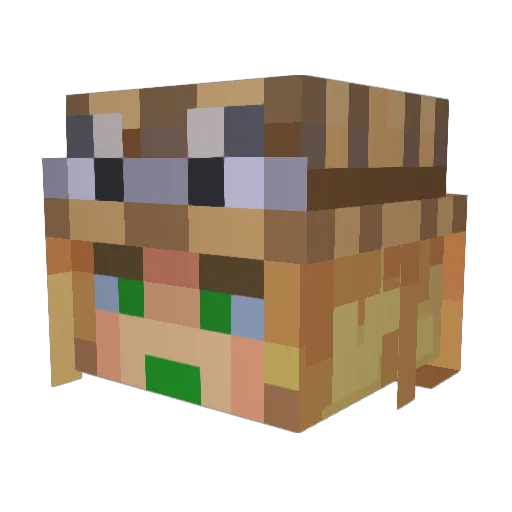 pedroarthur191 Minecraft avatar head, 3D render