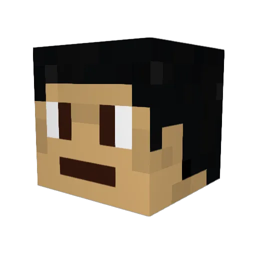 pedrofluor Minecraft avatar head, 3D render