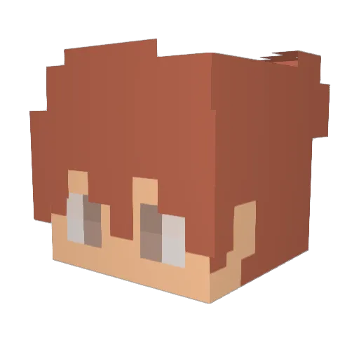 pedrohm Minecraft avatar head, 3D render