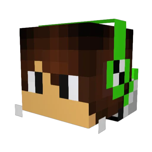 pedroskgamer Minecraft avatar head, 3D render