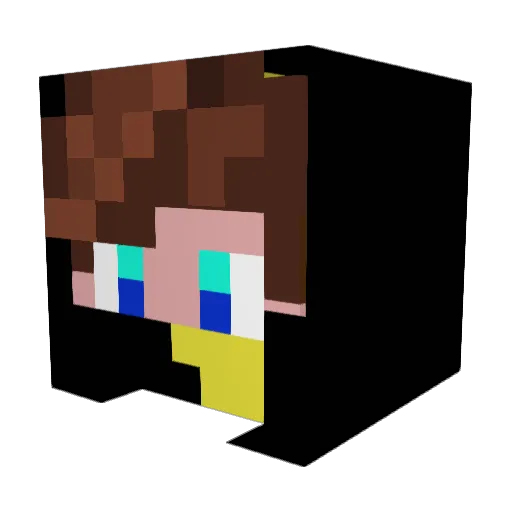 pedroww203 Minecraft avatar head, 3D render