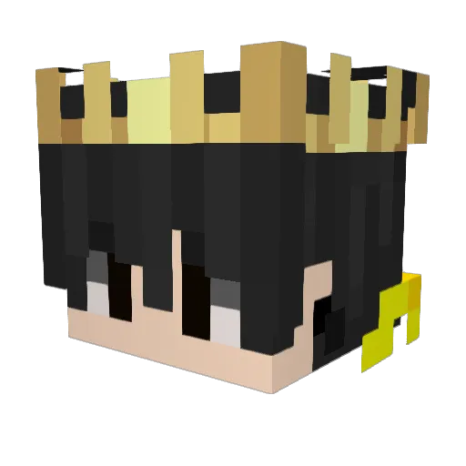 pedroyt5012 Minecraft avatar head, 3D render
