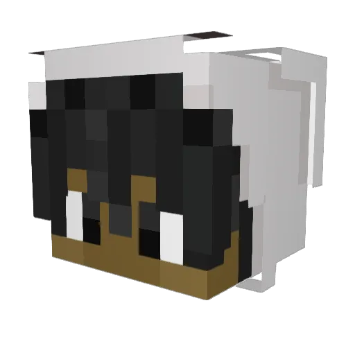 peeelz Minecraft avatar head, 3D render