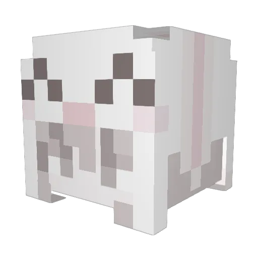 peegirl123 Minecraft avatar head, 3D render