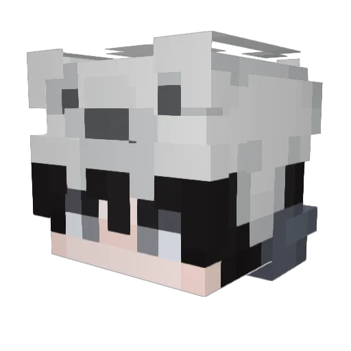 peekabooza007 Minecraft avatar head, 3D render