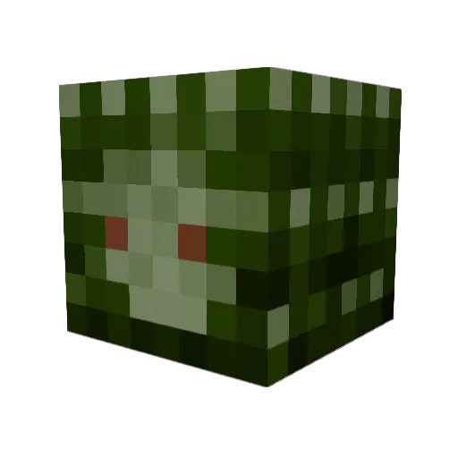 peepiscool Minecraft avatar head, 3D render