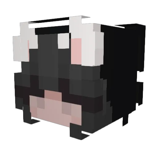 peepomeows Minecraft avatar head, 3D render