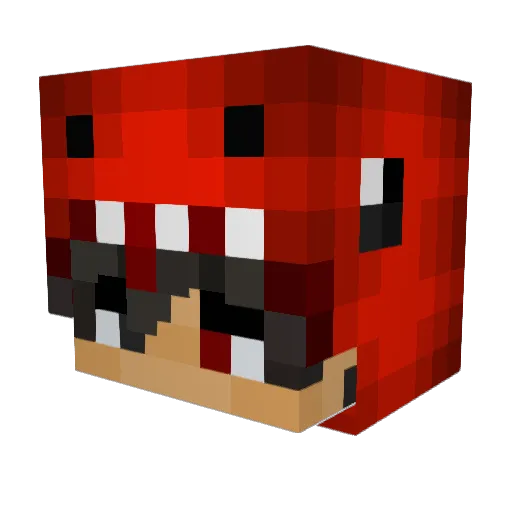 peeston_playz Minecraft avatar head, 3D render