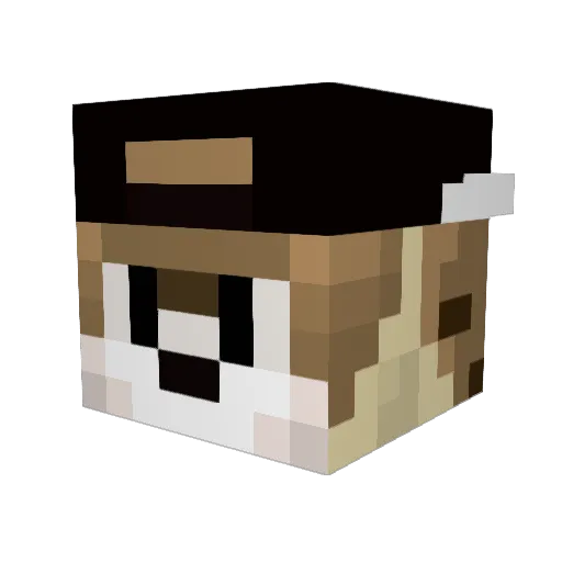 peetolli Minecraft avatar head, 3D render